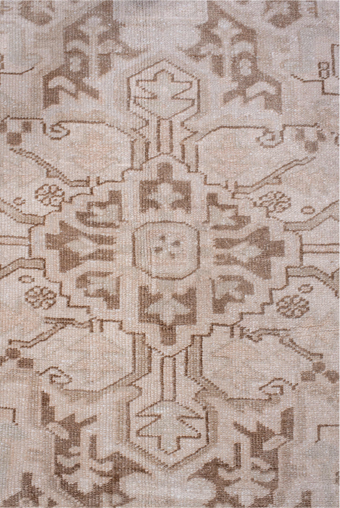 Antique Heriz Area Rug (9' x 13')
